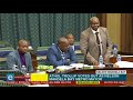 New NMB mayor Mongameli Bobani addresses the council