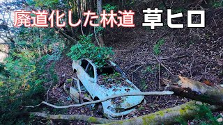 【廃車 廃墟】廃道化した林道 草ヒロ