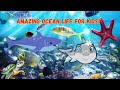 Bright Minds Kids - Amazing Ocean Life