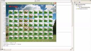Find The Frog , Software Visual Basic 6.0