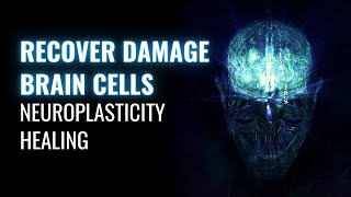 Regeneration of Neurons | Neuroplasticity Healing | Recover Damage Brain Cells | Binaural Beats Tone