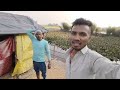 दादा जी गाय खरीद लाए हैं vlogsvideo pawanjivlogs