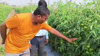 Mr. Rupinder jaiswal Talk on Field #Croptek #Solutek #Mahadhan #progressivefarmers #deepakfert #soil