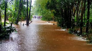 manimala river ! ജലനിരപ്പ് ഉയർന്നു