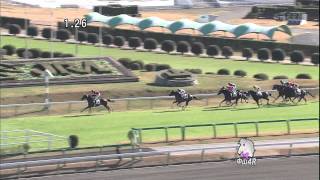 2011年12月11日 中山4R 障害未勝利 エーシンマイトップ