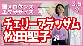 【懐メロエクササイズ】松田聖子「チェリーブラッサム」【リクエスト】