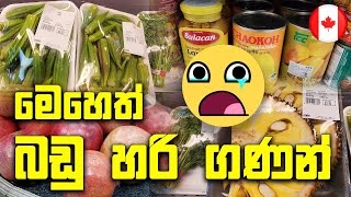 කැනඩාවේ අපේ ගමේ බඩු මිල | Grocery Price In Canada | Canada Sinhala Vlogs | @SehaVlogs