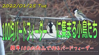 100均バードフィーダーに集まる小鳥たち。ダイソーバードフィーダーでお手軽野鳥観察。釧路町で鳥たちの越冬の手助けをしてます。Japanese wild bird.