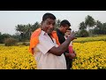 chrysanthemum flower ಹೆಮ್ಮಾಡಿ ಸೇವಂತಿಗೆ being grown in hemmady of kundapura taluk ಕೃಷಿಕರ ಮಾತು