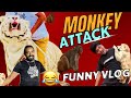 Lion And Monkey Attack 😂 | Aj Bach gaya yeh | Asif shero wala