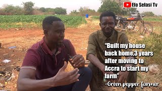 Green Pepper Farmer builds a house in 3 years after moving to Accra to start farming