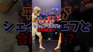 平本蓮がシェドラエフと合同練習？#平本蓮 #rizin