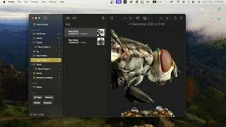 How To Use Notes App in Mac Os Sonoma?