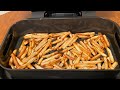 Ninja Foodi XL Grill Air Fryer French Fries