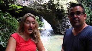 Visit Queensland Springbrook National Park, Queensland.