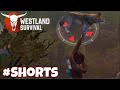 Westland Survival - Be A Survivor In The Wild West | Brown Wolf 🐺