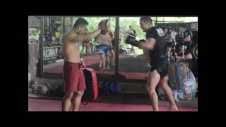 training Muay Thai lowkicks