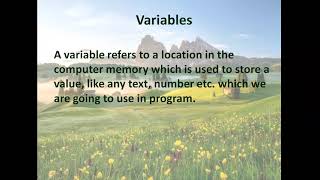 More on Visual Basic Chapter 7