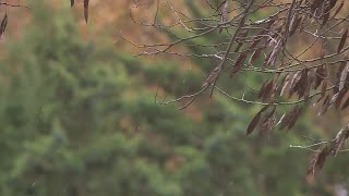 First snow flurries of season spotted in parts of St. Louis area