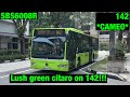 (EXCLUSIVE 142 CAMEO) SBS6008R at Potong Pasir CC