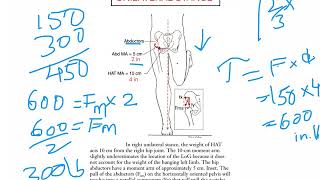 Unilateral Stance   HIP COMPLEX