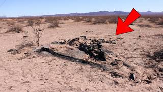 Fatal Crash! DRUNK Pilots' Decision Got Themselves Killed, New Discoveries...