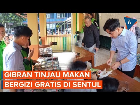 Gibran Tinjau Makan Bergizi Gratis Di Sentul, Menunya Ada Ayam ...