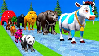 Paint \u0026 Animals Cow,Rabbit,Bear,Monkey,Lion,Mammoth Fountain Crossing Transformation Animal Cartoon