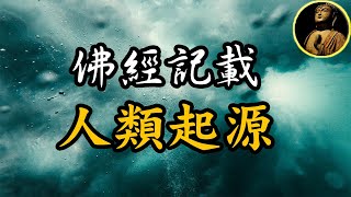 【佛法無邊】佛經記載的人類起源，佛教的宇宙觀將生命存在的領域分為「三界」