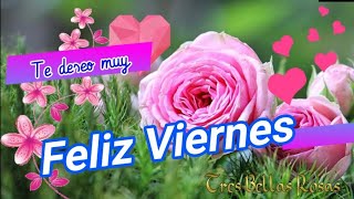 Un maravilloso y Feliz Viernes para ti 💝