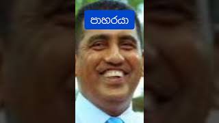 කුරුළු කූඩුවක් විනාශ කල කාලකන්නියා.. #malimawa #anura