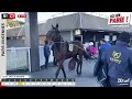 ici on parie vincennes quinté et pronostics en live de l hippodrome mardi 14 janvier 2025