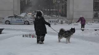 Tjetër stuhi dëbore zbardh New York në SHBA – Pa koment