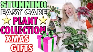 12+ STUNNING EASY CARE Plant COLLECTION For Xmas Gift Ideas | BEST Easy to Care For Houseplant GIFTS