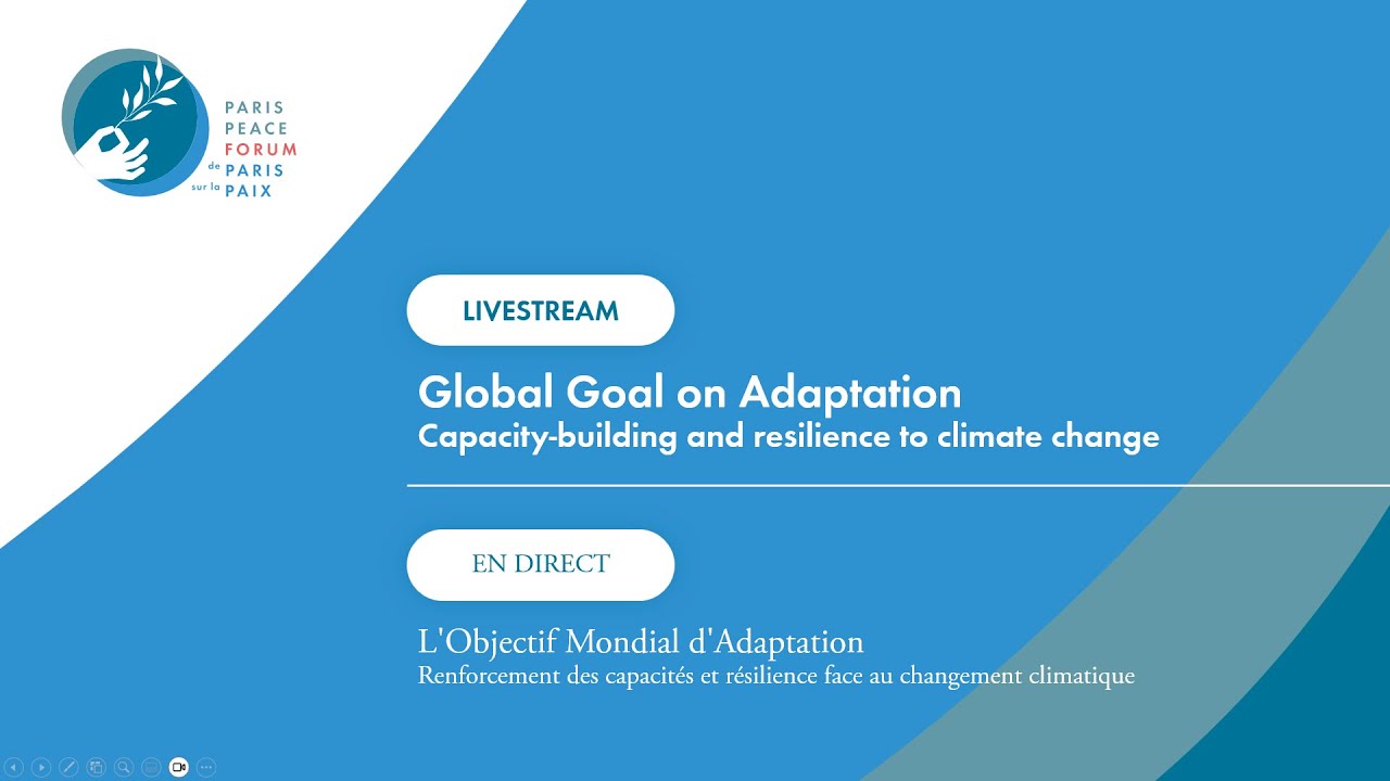 Global Goal On Adaptation: Capacity-building And Resilience To Climate ...