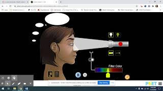 Color Vision Lab Tutorial