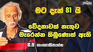 මට දැන් 81යි  | වේදනාවක් නැතුව මැරෙන්න තිබුණොත් ඇති  ඩී බී ගංගොඩතැන්න  D B Gangodathanna