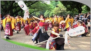 【4K】早稲田大学 東京花火｜花かるた（光が丘よさこい2016）【纏御披露目】