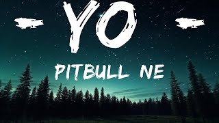 Pitbull, Ne-Yo - Time Of Our Lives (Lyrics) |15min