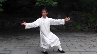 Maitre Guan  Wudang Taijiquan 13  武当太极拳13式 管永星