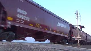 (BNSF 4241) leads a Empty Grain train heading North on the Galveston Sub