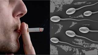 Why smoking is bad for Fertility | Dr.CS Manjunath | Mathrutva Fertility Center Bangalore |