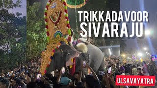 Thrikkadavoor sivaraju mass entry | aanayadi pooram 2023 #thrikkadavoorshivaraju #aanapremi