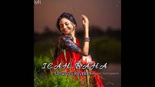 Icah baha New Santali lofi song 🫰🌿💕 @STRIDERBISU please 🎧🎧