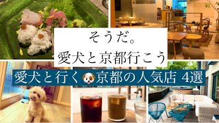 【愛犬と行く京都の過ごし方】一度は行ってみたい！ワンちゃんOKのオシャレな人気店4選@kokopichannel7168