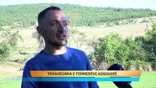 Trashegimia e fermerve Kosovar