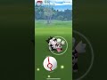 【精靈寶可夢pokemon go】蛇紋熊 20210717