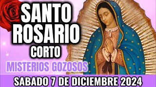 Santo Rosario Corto de hoy. Sabado 7 de Diciembre 2024 - Rosario Corto