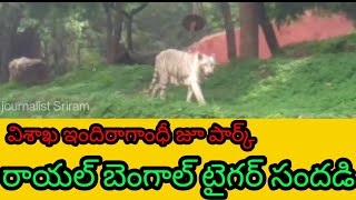 విశాఖ జూ లో రాయల్ బెంగాల్ టైగర్ #royal Bengal tiger in Vizag zoo