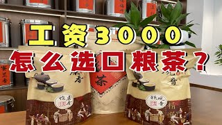 工资3000怎么选口粮茶？行内人爱喝的茶叶，别再说便宜没好货！